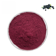 High quality Organic elderberry extract powder